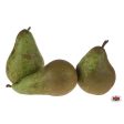 Organic PEAR Conference Concorde Online