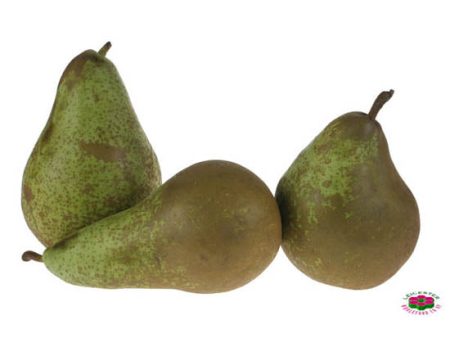 Organic PEAR Conference Concorde Online