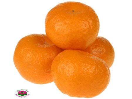 Organic CLEMENTINES For Sale