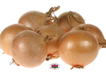 Organic ONION Discount