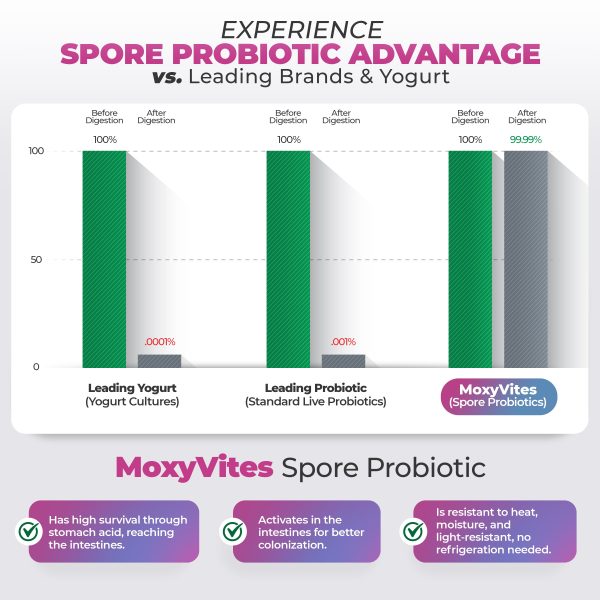 Spore Probiotic - Prebiotics and Probiotics for Digestive Health and Digestive Enzymes Online now