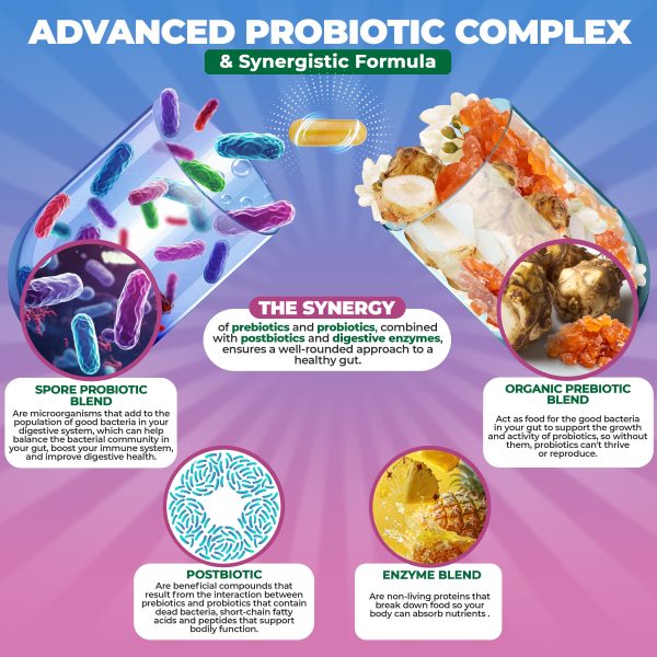 Spore Probiotic - Prebiotics and Probiotics for Digestive Health and Digestive Enzymes Online now