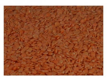 Red Lentils For Cheap