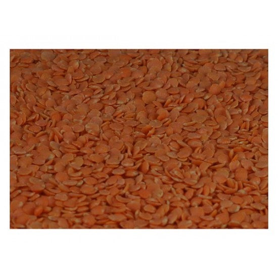 Red Lentils For Cheap