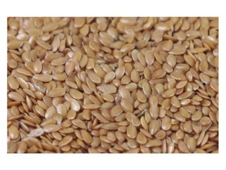 Linseed Golden ORGANIC on Sale