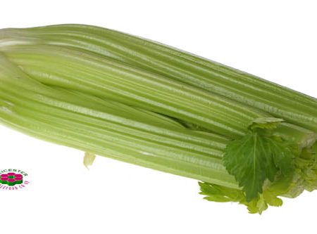 Organic CELERY Online