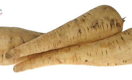 Organic PARSNIP Cheap