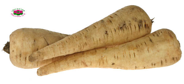 Organic PARSNIP Cheap