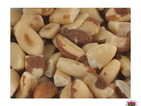 Brazil Nuts Broken Organic Cheap