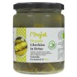 Raw Gherkins Fresh in brine Organic For Sale