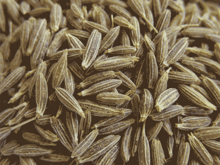 Cumin Seeds - Organic PREORDER REQ D Online now