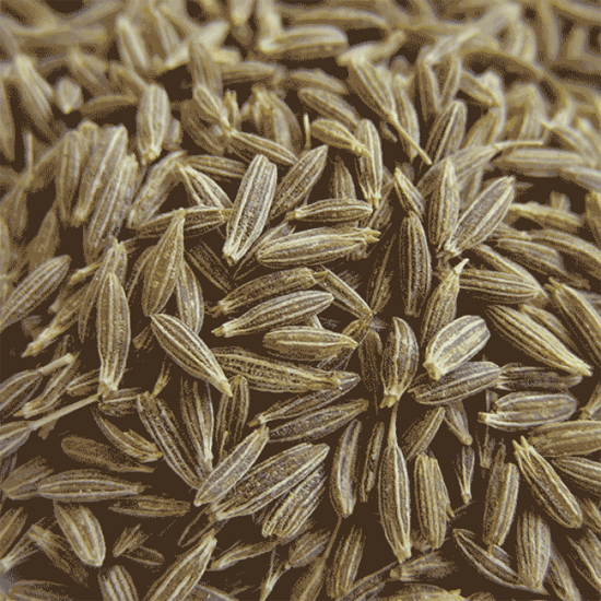 Cumin Seeds - Organic PREORDER REQ D Online now