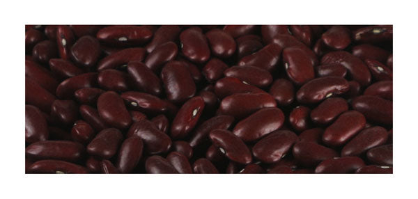 Red Kidney Beans ORGANIC For Discount