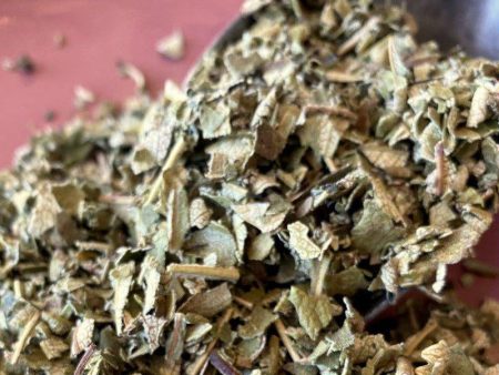 Yerba Santa Leaf, Wildcrafted 1oz Online Sale