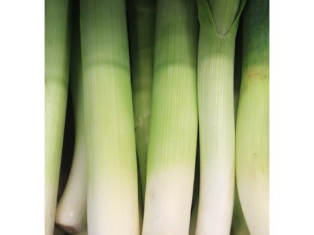 Organic LEEKS Cheap