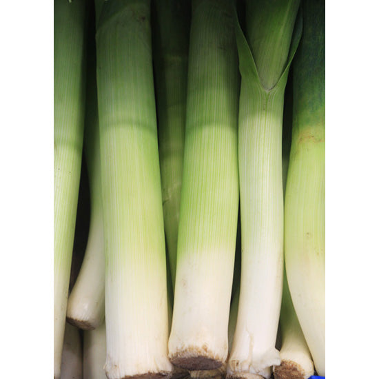 Organic LEEKS Cheap