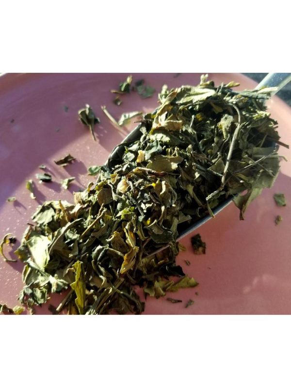 Creamsicle White Tea, 1oz Online Hot Sale