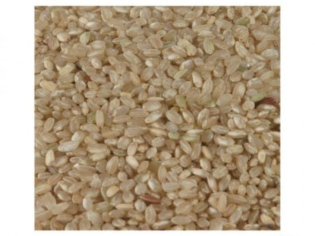 Short Grain Brown Rice ORGANIC Discount