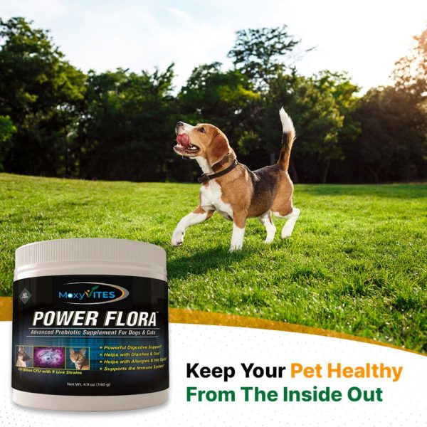 Power Flora - Probiotics for Dogs and Cats with 9 Live Strains For Cheap