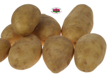 Organic POTATO Valor White Cheap