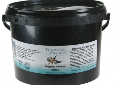 Forest Honey Clear Organic 7lb Online now