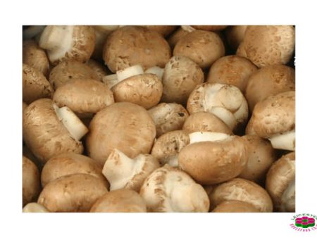 Organic MUSHROOM  BROWN Online