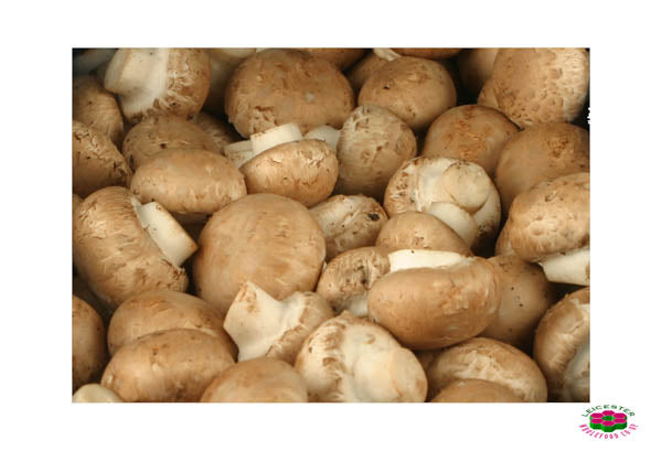 Organic MUSHROOM  BROWN Online