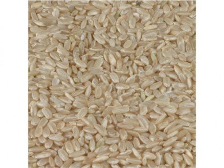 Long Grain Brown Rice Italy Discount