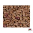 Pinto Beans ORGANIC For Cheap