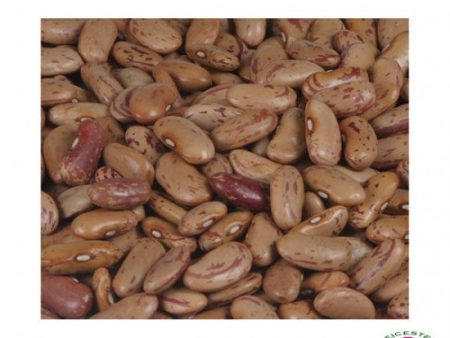 Pinto Beans ORGANIC For Cheap