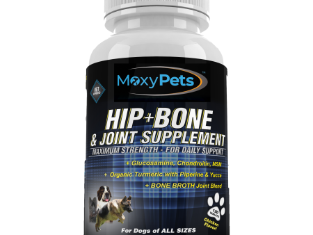 Hip Bone & Joint Dog Supplement Glucosamine Chondroitin MSM Online now