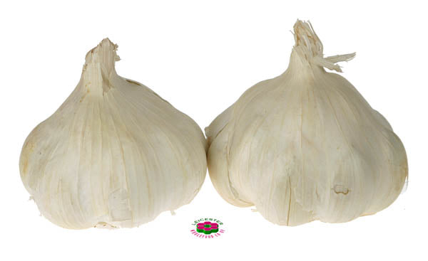 Organic GARLIC Cheap