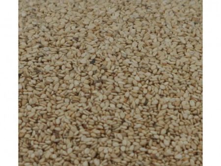 Sesame Seeds Fairtrade ORGANIC Sale