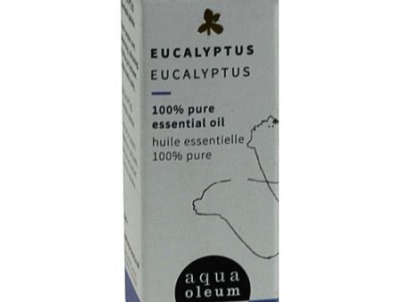 Eucalyptus Hot on Sale