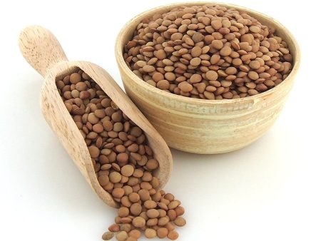 Brown Lentils, Organic Sale