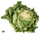 Organic CAULIFLOWER Online now