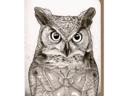 Owl and Moth Greeting Card Online Hot Sale