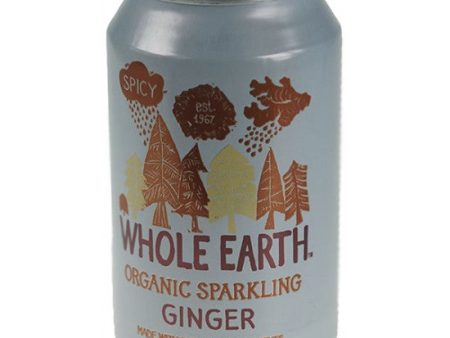 Sparkling Ginger Organic Can Online Hot Sale