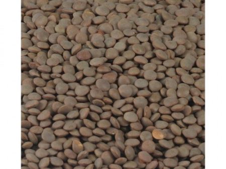 Brown Lentils For Sale