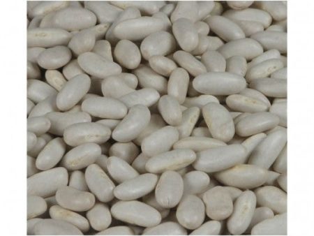 Cannellini Beans Dried Organic Discount